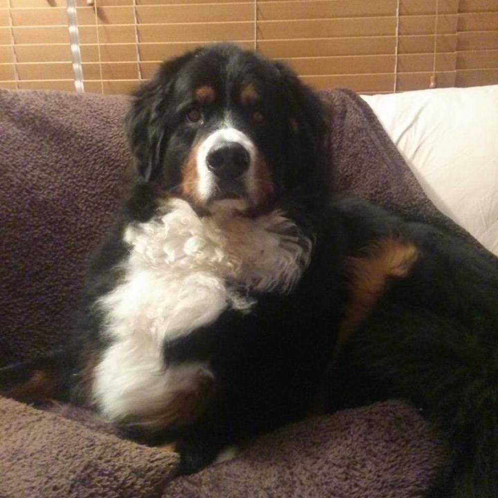 Meet your Posher, Tina